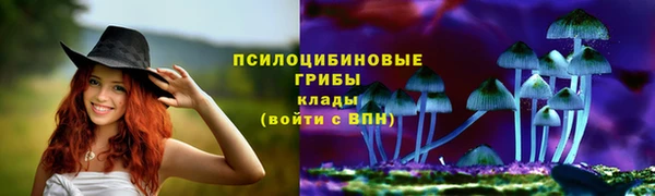 спиды Беломорск
