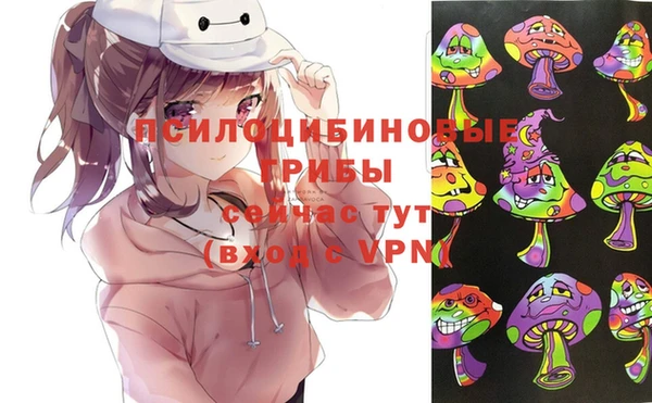 спиды Беломорск
