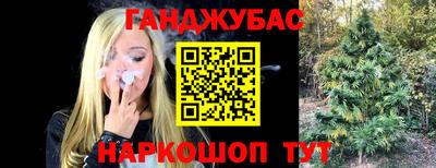дживик Бийск