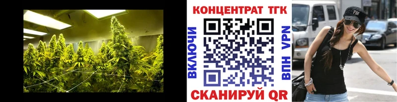 купить наркотик Видное Дистиллят ТГК THC oil