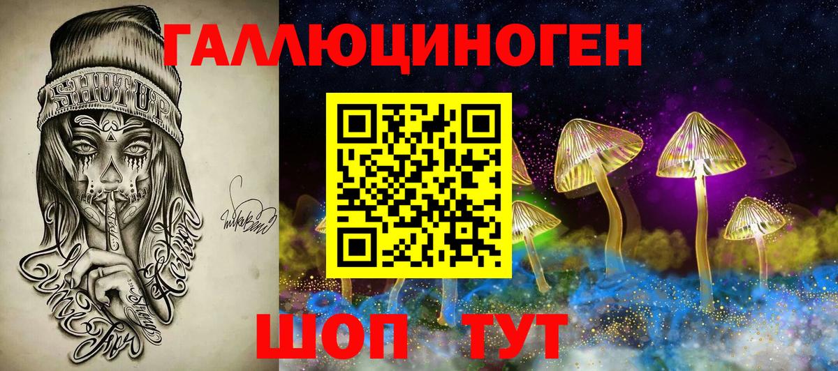 Галлюциногенные грибы Psilocybine cubensis  Псилоцибиновые грибы мицелий  Видное 