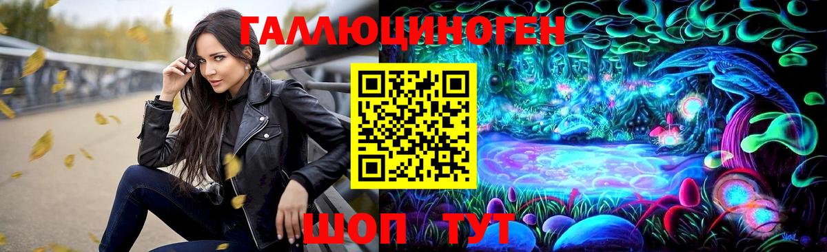 Галлюциногенные грибы Psilocybe Видное