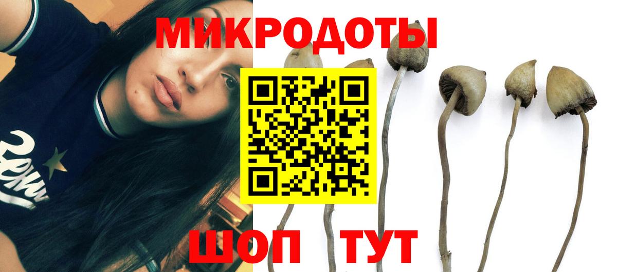 Гашиш Видное